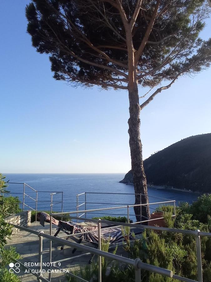 Casafischea19 Apartment Монеглия Екстериор снимка