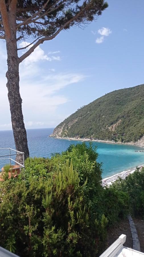 Casafischea19 Apartment Монеглия Екстериор снимка
