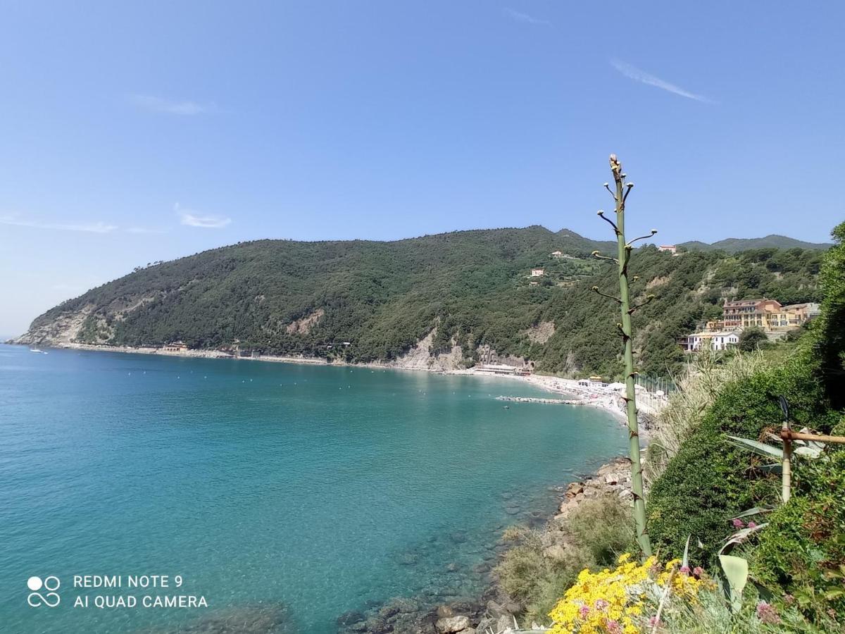 Casafischea19 Apartment Монеглия Екстериор снимка